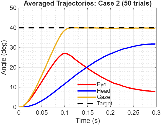 Averaged trajectories over 50 trials for Case 2. Averaging removes the random noise fluctuations, revealing the smooth underlying control strategy. Eye and head contributions are clearly separated, with gaze showing minimal variance as it converges to the target.